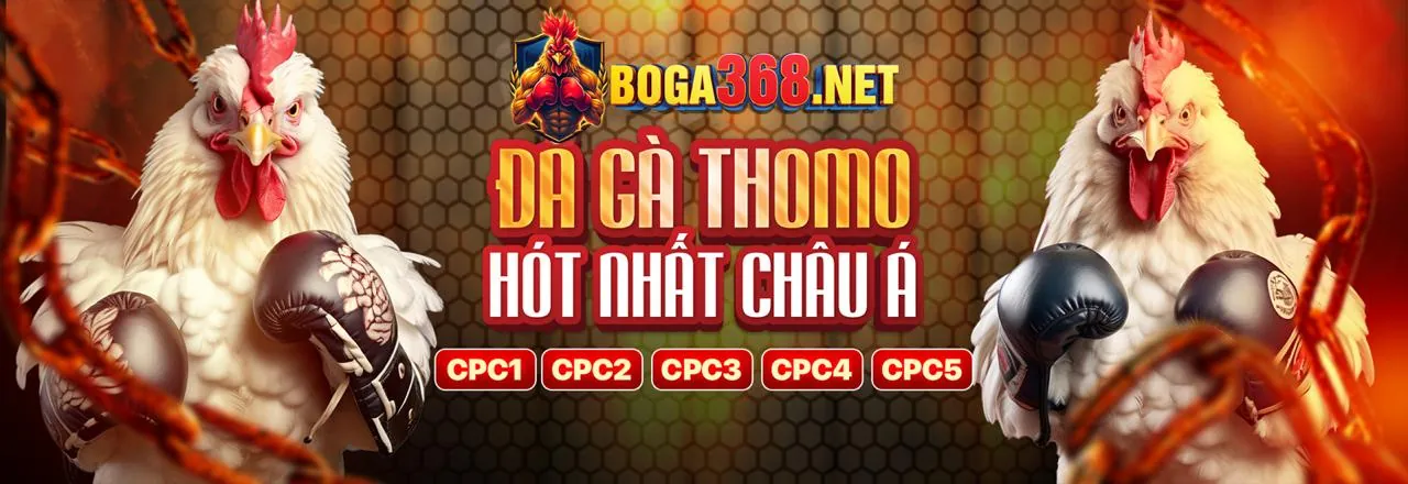 Hướng dẫn chiến lược cá cược đá gà TA28 BET