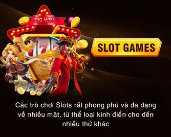 Đa dạng trò chơi cá cược tại 33win33